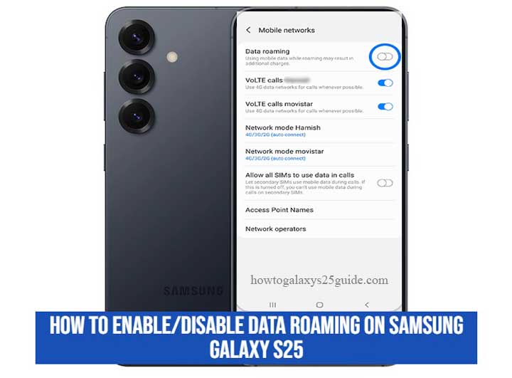 how to enable/disable data roaming on samsung galaxy s25