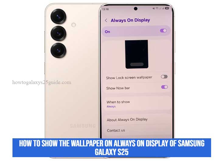 how to show the wallpaper on always on display of samsung galaxy s25